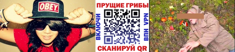 Галлюциногенные грибы мицелий  Судак 